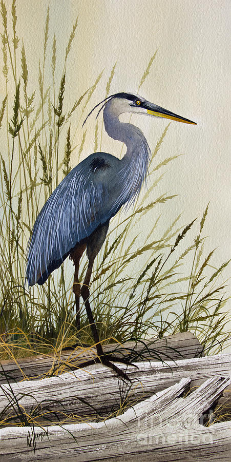 451x900 Great Blue Heron Splendor Painting By James Williamson - Heron Painting