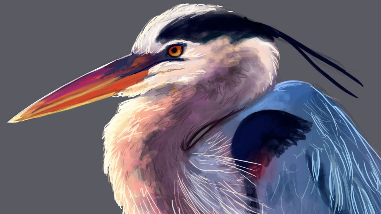 1280x720 Painting A Heron Color Study 2015 April - Heron Painting