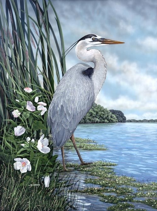 500x671 Blue Heron Watercolor Painting - Heron Painting