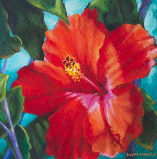 504x509 The Allure Of Red Hibiscus Flowers - Hibiscus Flower Painting