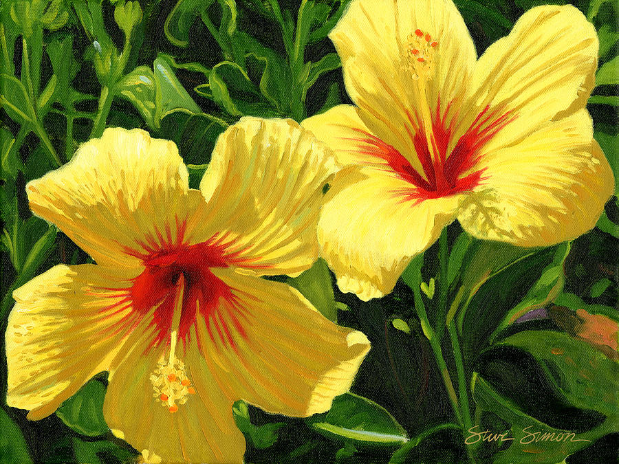 900x675 Yellow Hibiscus Painting By Steve Simon - Hibiscus Flower Painting