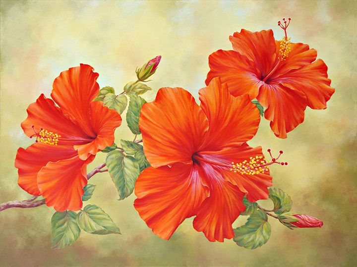 Hibiscus Flower Painting Acrylic at PaintingValley.com | Explore ...