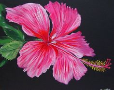236x187 Hibiscus Radiance By Lauren Knode Pastel ~ 24 X 32 Lauren Knode - Hibiscus Flower Painting Acrylic