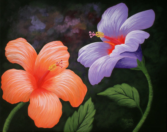 570x452 Original Acrylic Flower Painting Peach And Purple Hibiscus - Hibiscus Flower Painting Acrylic