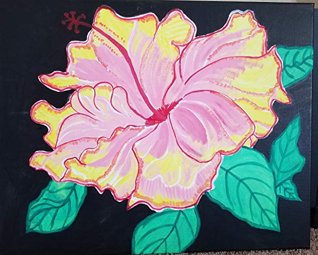 623x500 Hibiscus Flower On Canvas - Hibiscus Flower Painting Acrylic