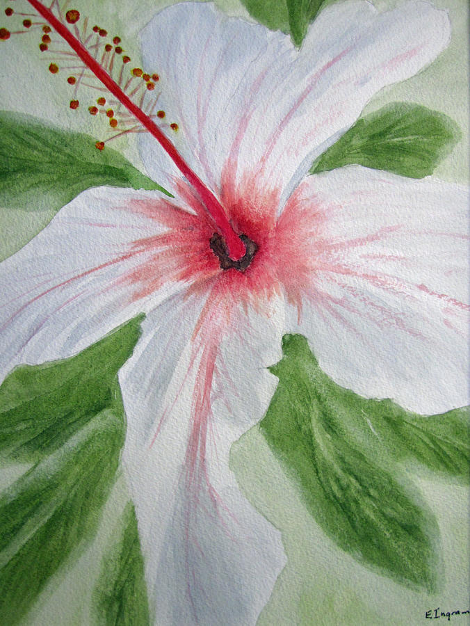 676x900 White Hibiscus Flower Painting By Elvira Ingram - Hibiscus Flower Painting Acrylic