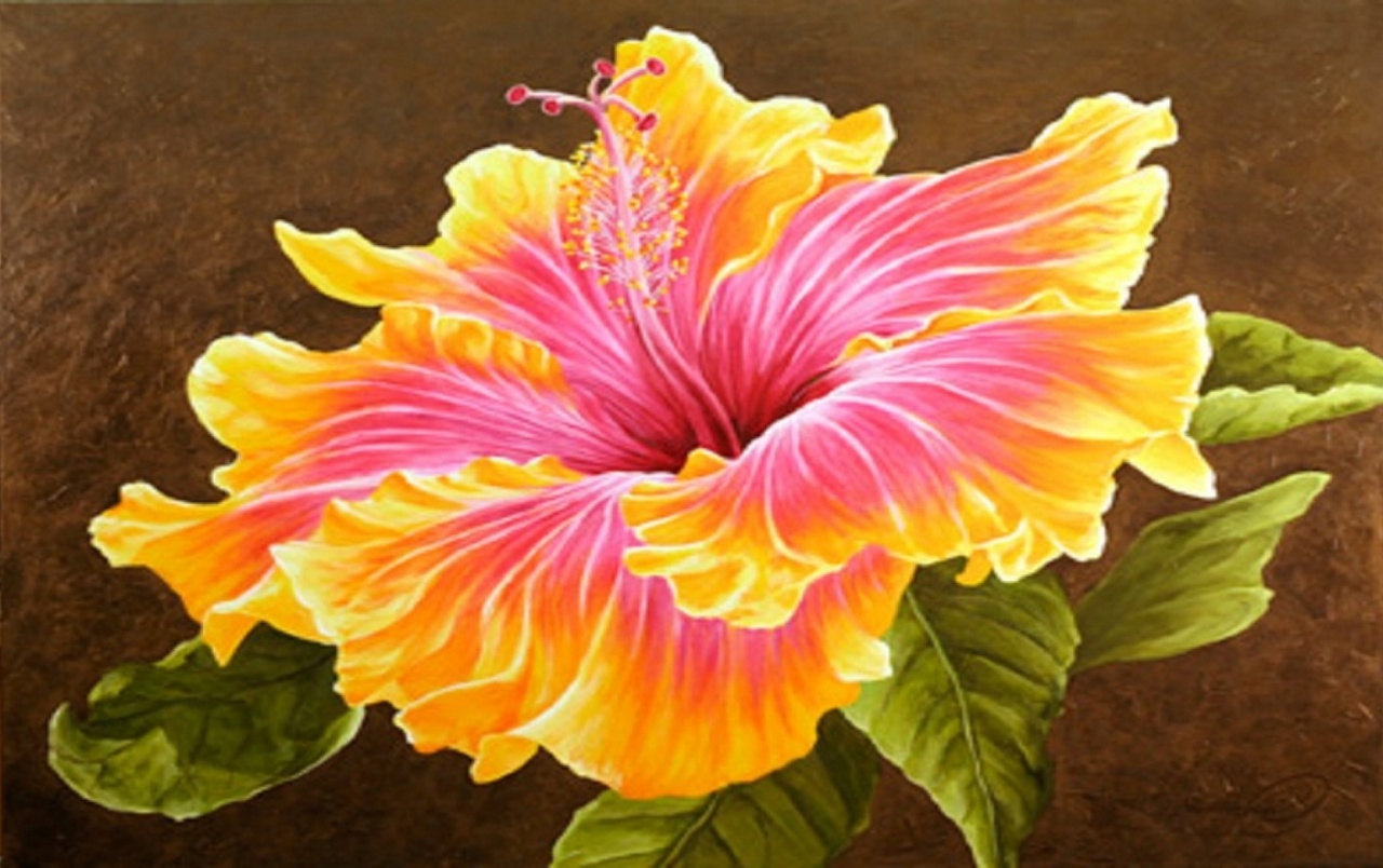 hibiscus-flower-painting-acrylic-at-paintingvalley-explore