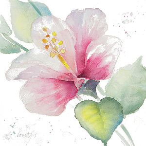 300x300 Hibiscus Watercolor Paintings Fine Art America - Hibiscus Watercolor Painting