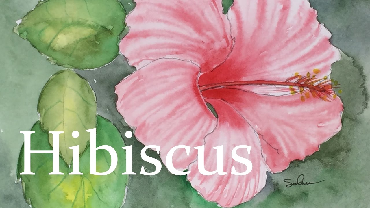 1280x720 How To Paint An Hibiscus In Watercolor Tutorial Flower Plant - Hibiscus Watercolor Painting