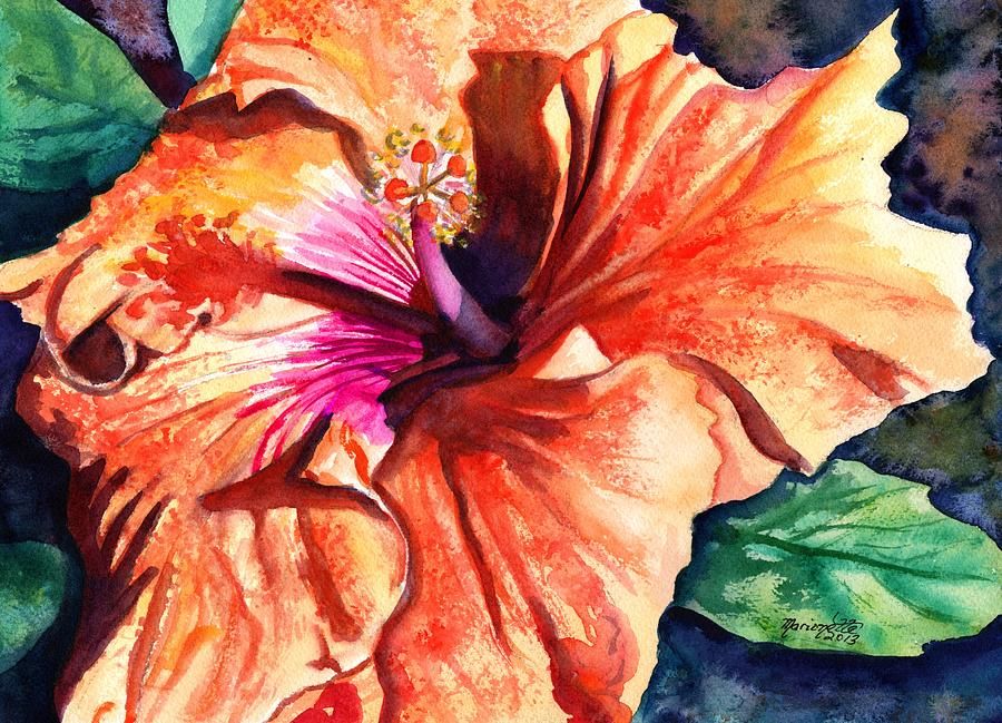 900x649 Orange Hibiscus Painting - Hibiscus Watercolor Painting