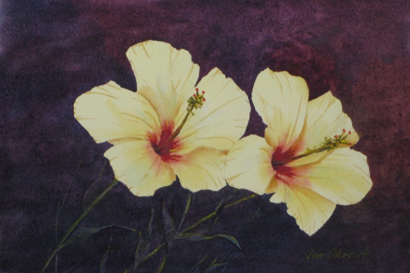 800x534 Original Watercolor Painting Details - Hibiscus Watercolor Painting