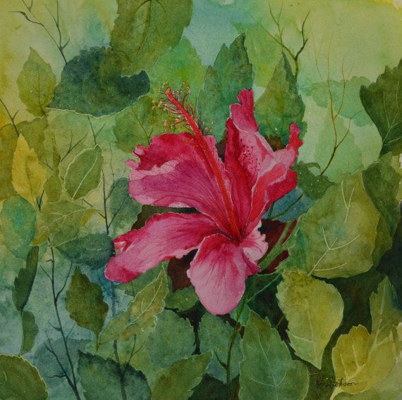 570x568 Pink Hibiscus Watercolor Painting Original By Terrirobertsonart - Hibiscus Watercolor Painting