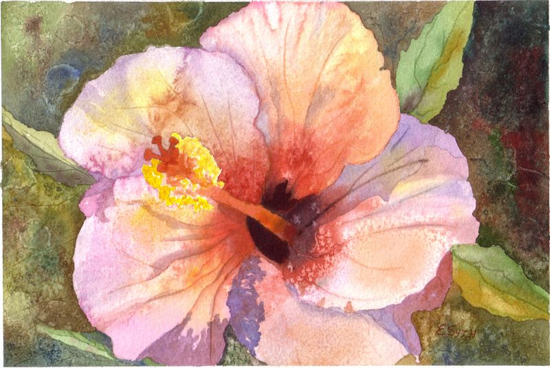 800x536 Terry Madden Artist My Hibiscus Painting 9 27 07best Scan - Hibiscus Watercolor Painting
