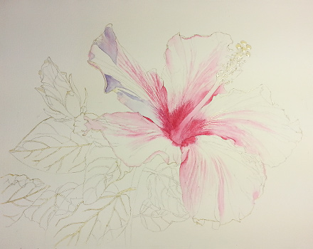 440x350 Yellow Hibiscus In Watercolor - Hibiscus Watercolor Painting