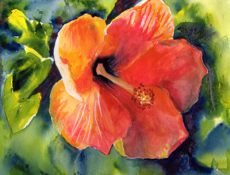 800x608 Bunny's Artwork Hibiscus Original Watercolor Painting - Hibiscus Watercolor Painting