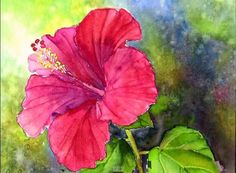 236x173 Easy, Step By Step Tutorial, How To Paint Hibiscus Flower - Hibiscus Watercolor Painting
