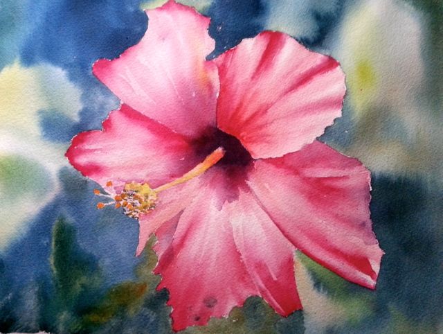 640x482 February 2013 Watercolor Challenge - Hibiscus Watercolor Painting