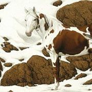 180x180 Bev Doolittle Not Only Master Of Drawingnd Watercolors But - Hidden Horses Painting
