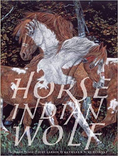 376x499 Horse Indian Wolf The Hidden Pictures Of Judy Larson Kathleen - Hidden Horses Painting
