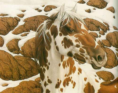 500x392 146 Best Horse'In Around Images On Beautiful Horses - Hidden Horses Painting