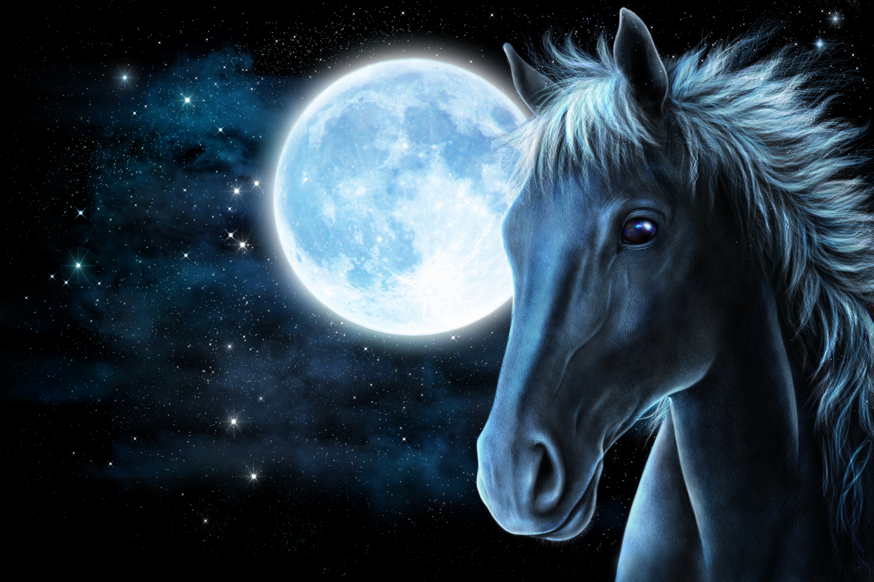 3000x2000 Picture Horses Moon Night Time Head Animals Painting Art 3000x2000 - Hidden Horses Painting