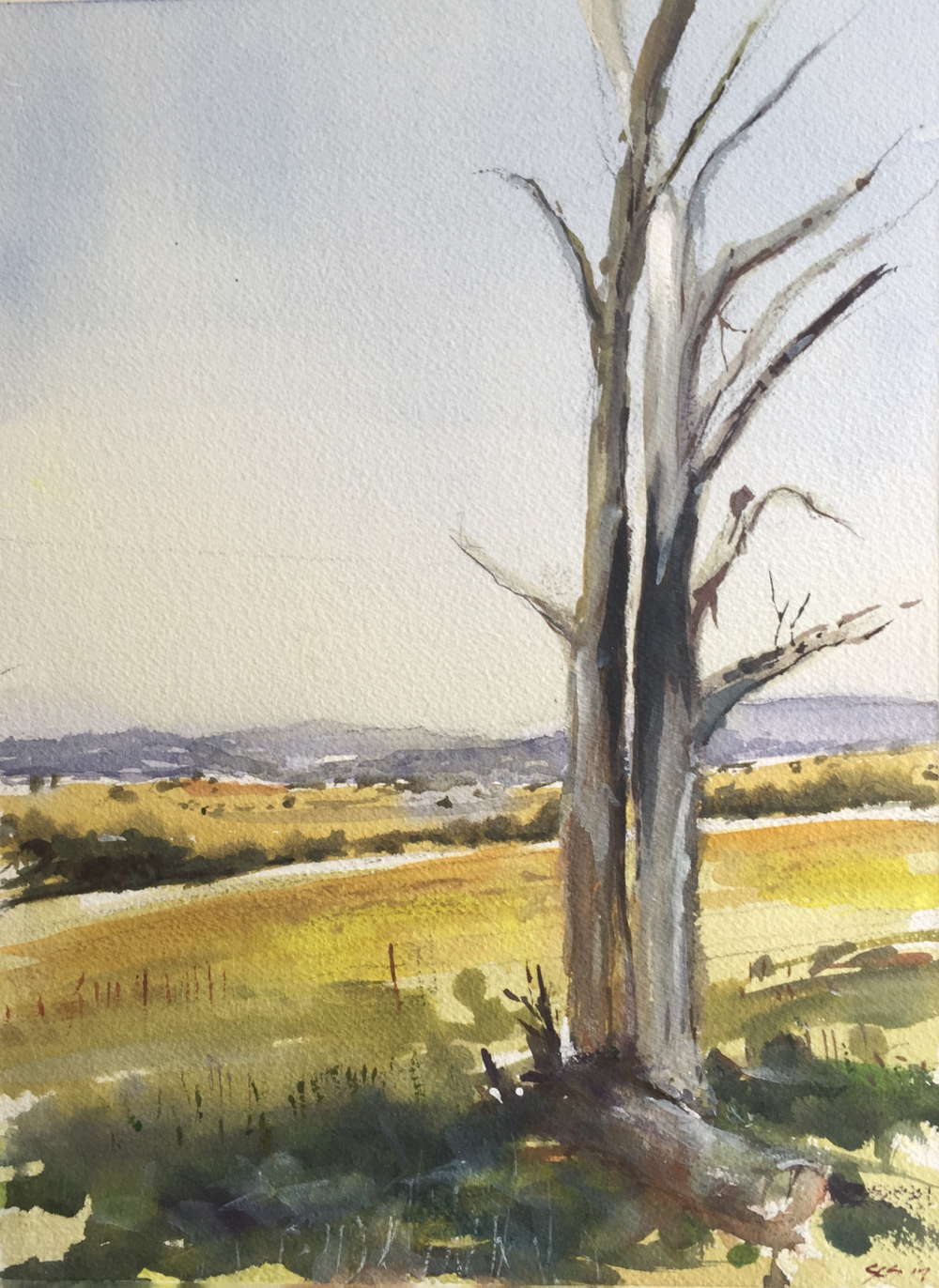 1000x1372 High Country, Central Victoria Buy Original Watercolour Painting - High Country Painting