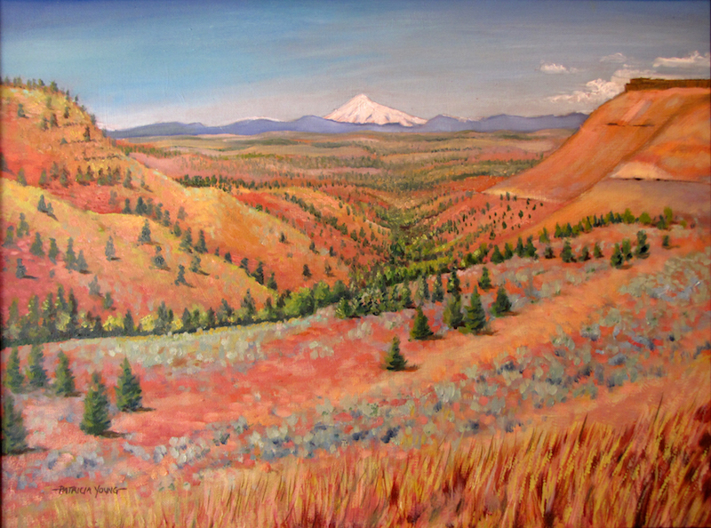 800x594 Oil Paintings Patricia Young Artist - High Desert Painting