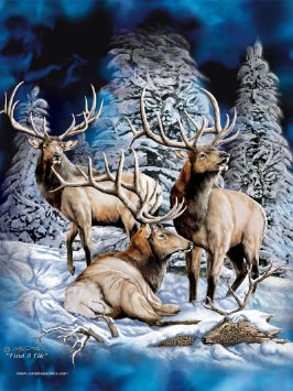 266x355 Buy Elk Find 8 - High Quality Painting Prints