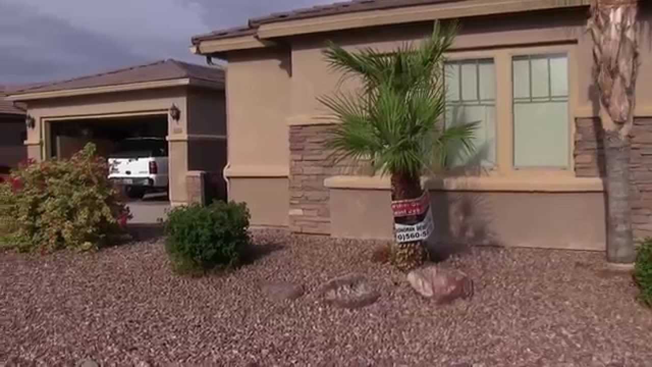 1280x720 High Sonoran Desert Painting - High Sonoran Desert Painting