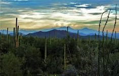 235x151 Sonoran Sojourn - High Sonoran Desert Painting
