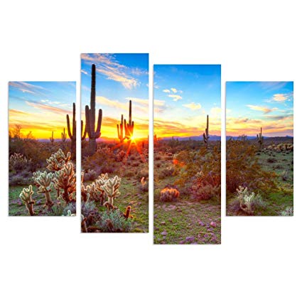 High Sonoran Desert Painting at PaintingValley.com | Explore collection ...