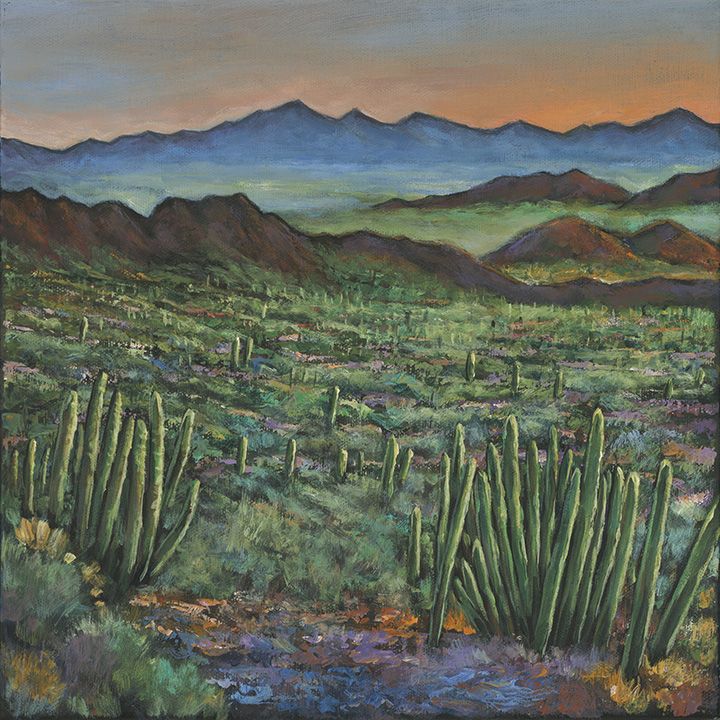 720x720 The 240 Best Jonathan Harris Paintings Images - High Sonoran Desert Painting