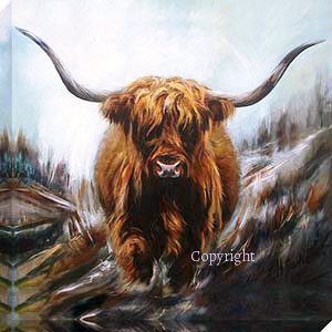 300x300 Highland Cow Art Canvas Prints By Hilary Barker - Highland Cattle Painting