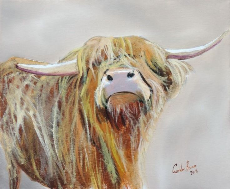 736x604 69 Best Highland Cows Images On Animal Pictures - Highland Cow Painting