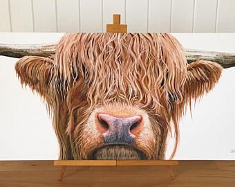 340x270 Highland Cow Painting - Highland Cow Painting