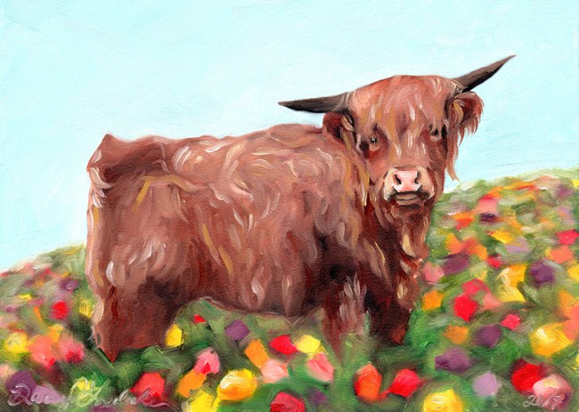 650x463 Highland Cow ~ 5x7 Original Oil Painting - Highland Cow Painting