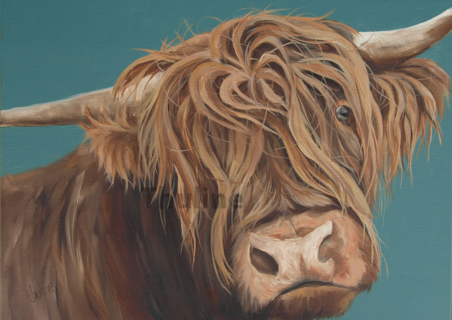 900x637 Highland Cow, Cow Print, Animal Gift, Lake District Artist - Highland Cow Painting