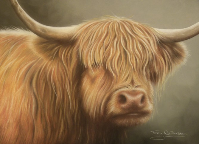 668x483 Terry Austen - Highland Cow Painting