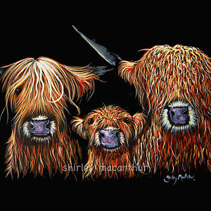 300x300 Highland Cow Prints Of Original Painting We 3 Coos On Black By - Highland Cow Painting