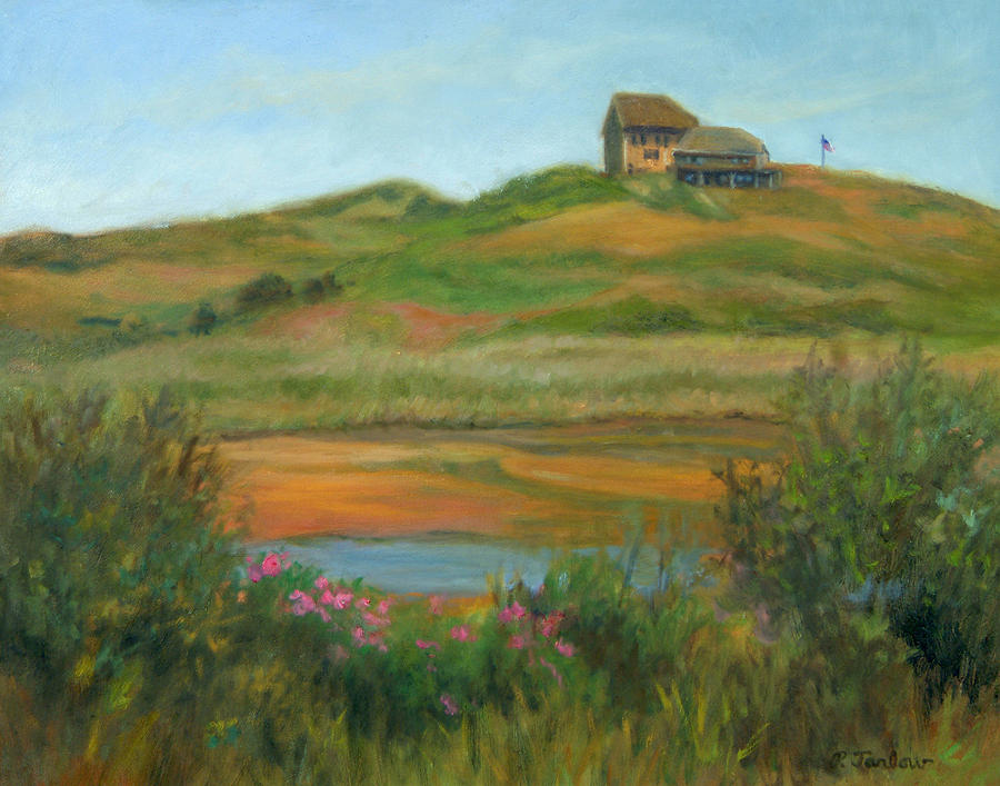 900x707 Hilltop Houses Cape Cod Painting By Phyllis Tarlow - Hilltop Painting