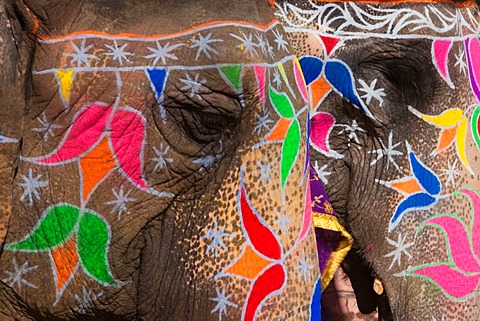 480x321 Painted Elephants - Hindu Elephant Painting