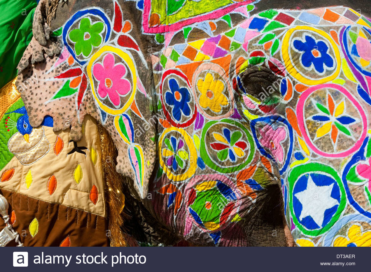 1300x956 Painted Elephants During Holi, The Hindu Festival Of Colours, - Hindu Elephant Painting