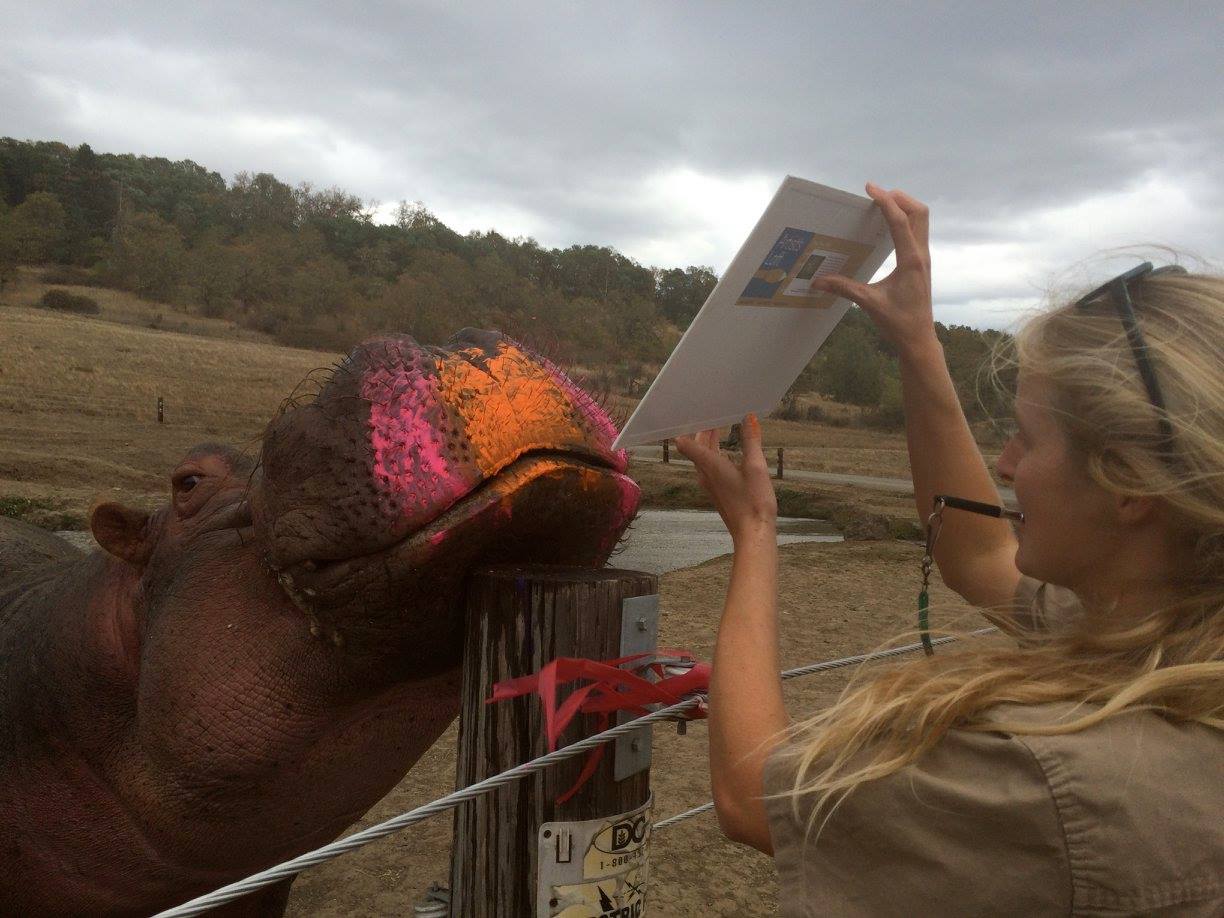 1224x918 Painting Wildlife Safari Blog - Hippo Kiss Painting