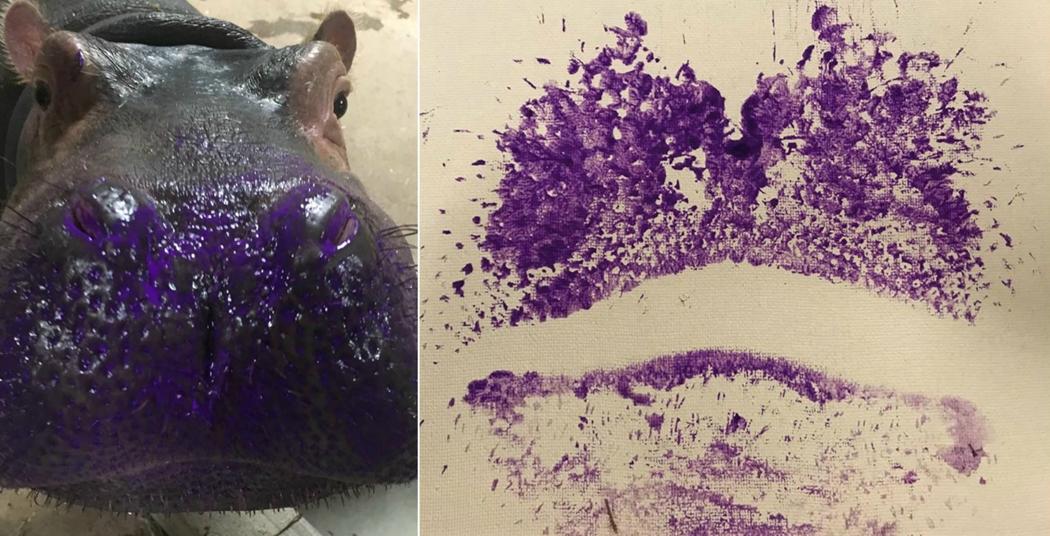 1050x536 Fiona'S - Hippo Kiss Painting