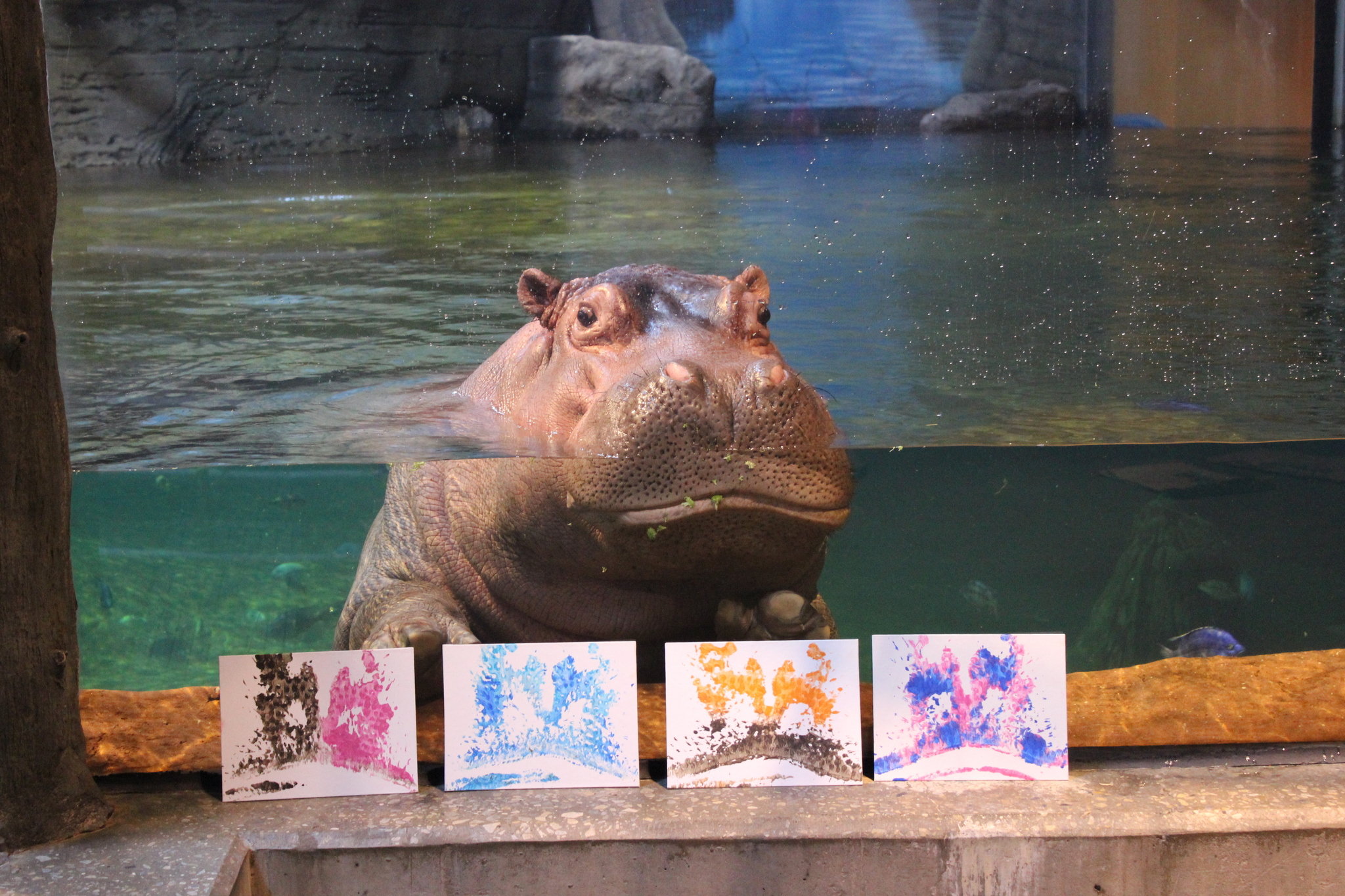 2048x1365 Forget About Flowers 11 Unique Valentine's Day Date Ideas In N.j. - Hippo Kiss Painting