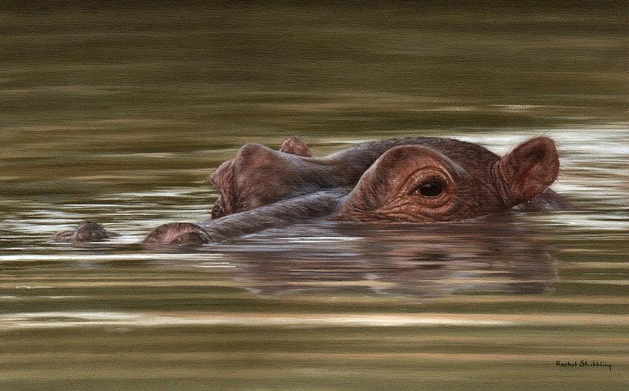 900x560 Hippo Painting Painting By Rachel Stribbling - Hippo Painting