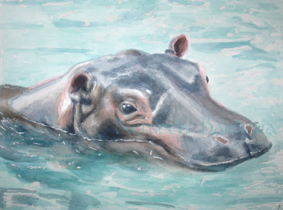 564x418 Hippo Painting By Kiwy - Hippo Painting
