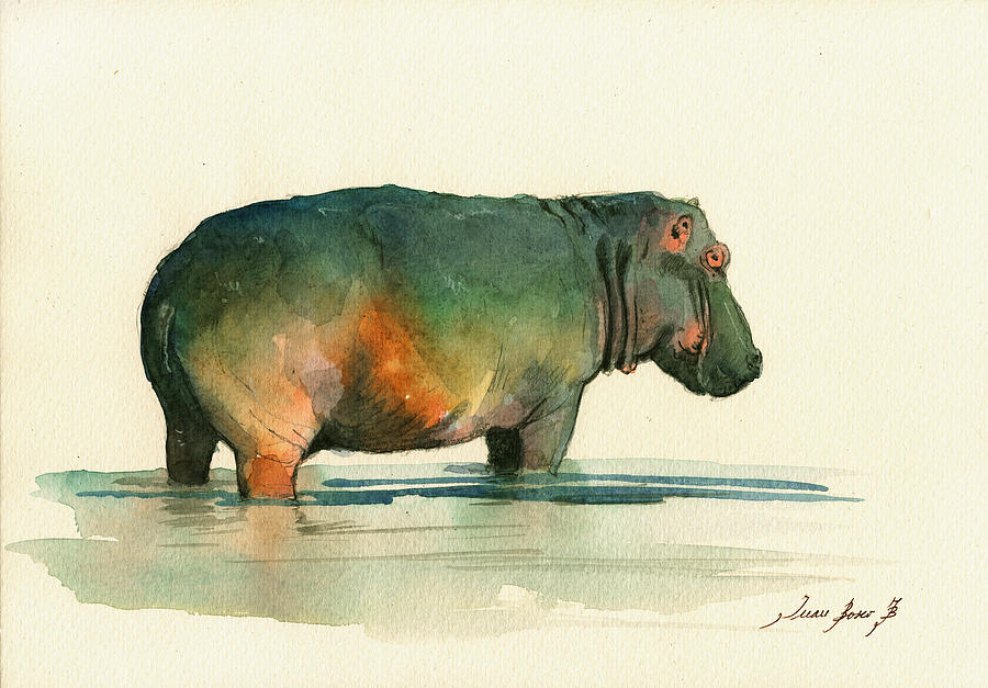 900x627 Hippo Watercolor Painting Painting By Juan Bosco - Hippo Painting