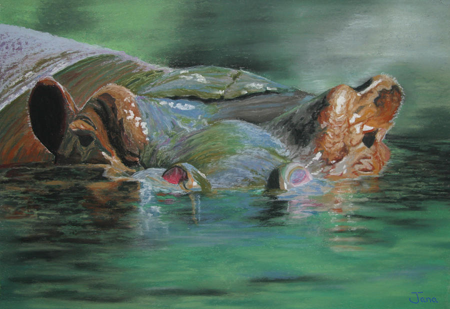 900x618 Lazy Hippo Painting By Jana Pfremmer - Hippo Painting