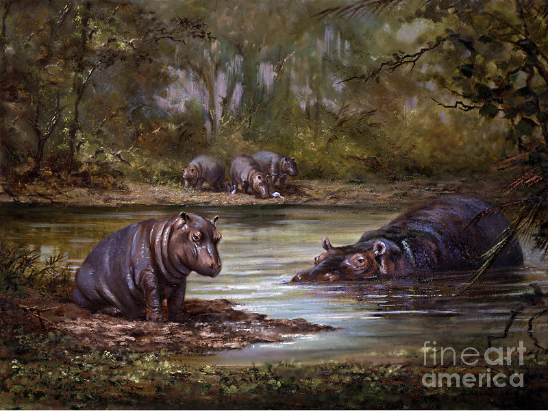 800x600 Little Hippo Painting By Silvia Duran - Hippo Painting